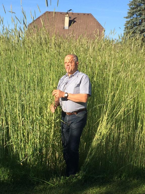 Biohof Sauschneider Sankt Margarethen im Lungau Exterior foto